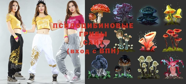 мяу мяу мука Алзамай